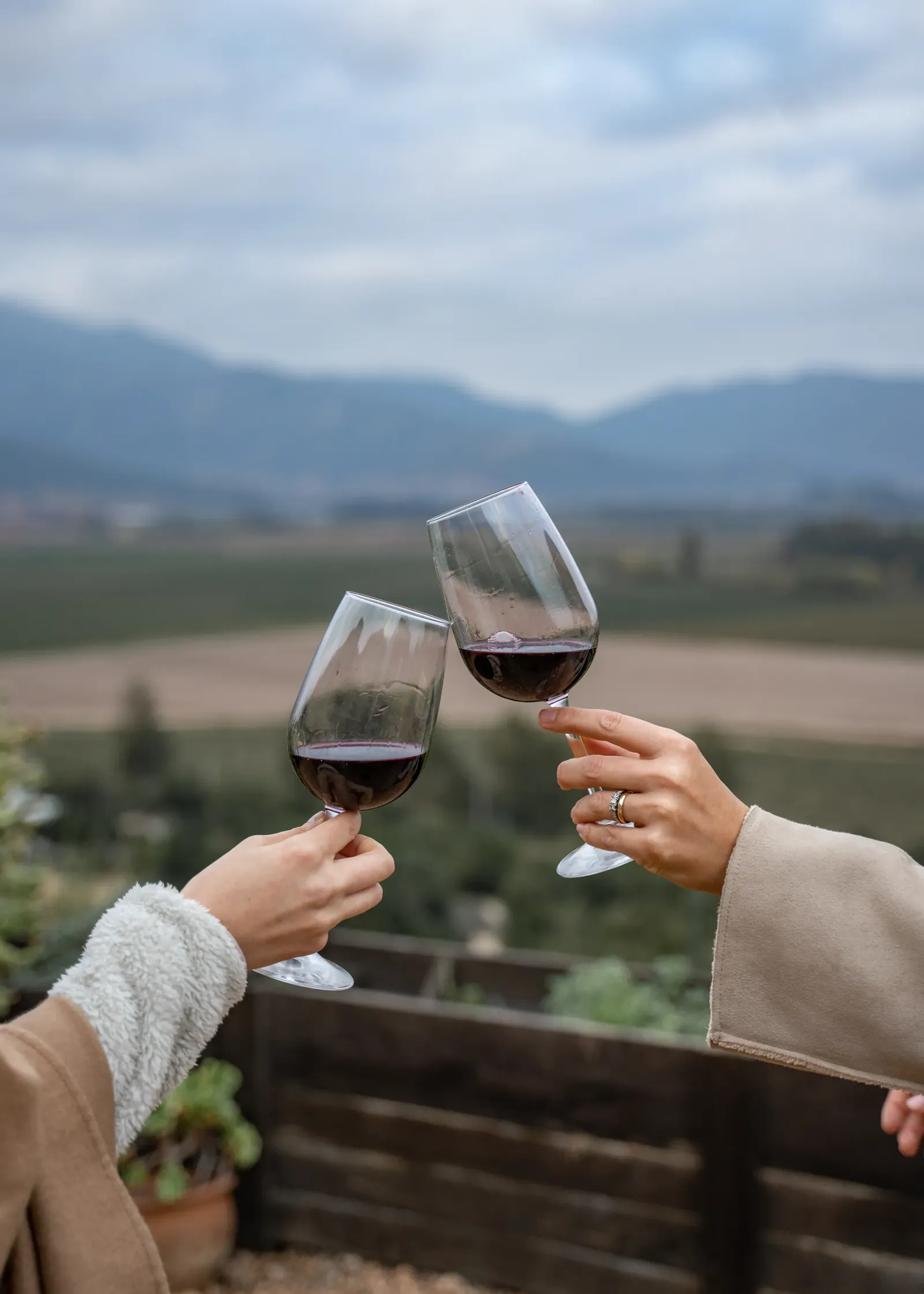 Dos copas de vino tinto chocando frente al valle.